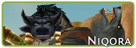 Niqora