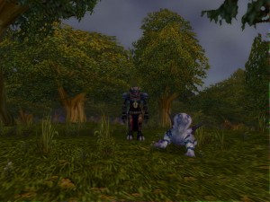 Niqora and Grakoth in Elwynn Forest